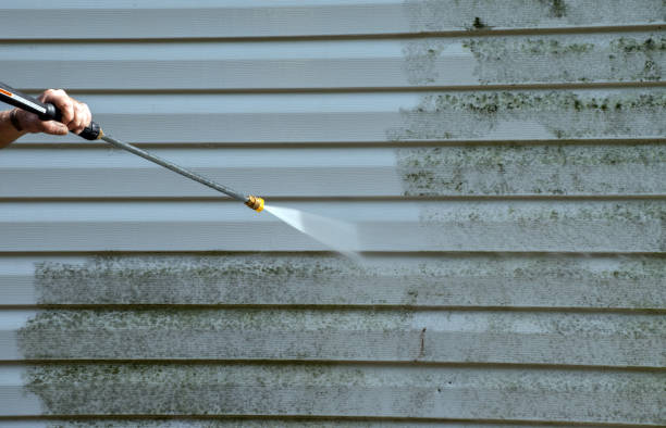 Best Roof Power Washing Services  in Algoma, WI