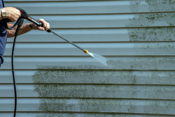 Best Deck Pressure Washing  in Algoma, WI