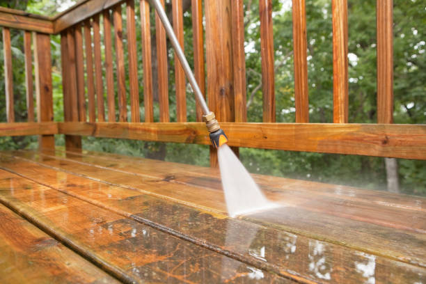 Best Deck Cleaning Services  in Algoma, WI