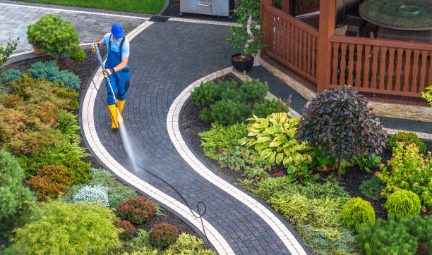 Best Exterior Home Cleaning  in Algoma, WI